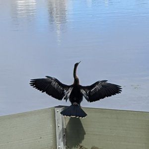 Meet your Posher, Posh